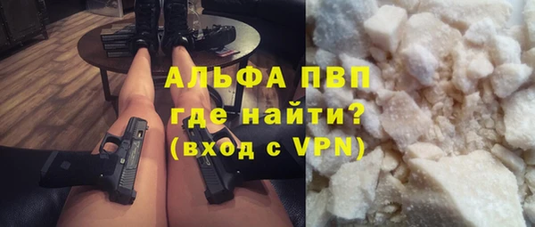 индика Белоозёрский