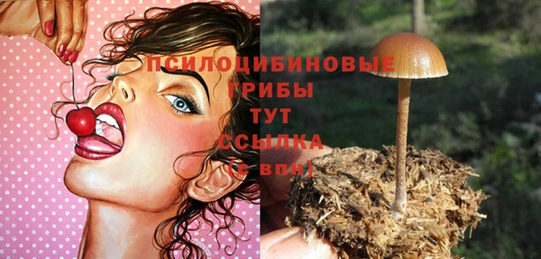 индика Белоозёрский