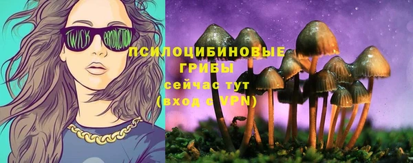 марки lsd Белокуриха