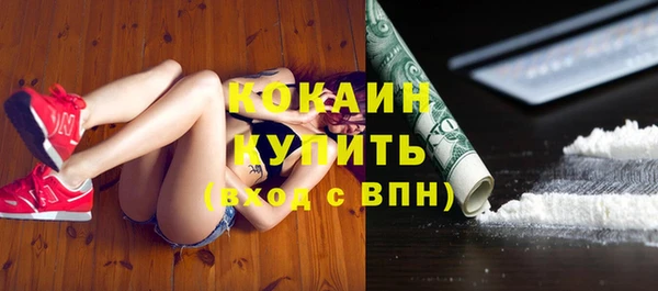 индика Белоозёрский