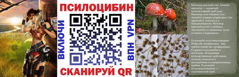Псилоцибиновые грибы Cubensis  Купить  Семикаракорск 